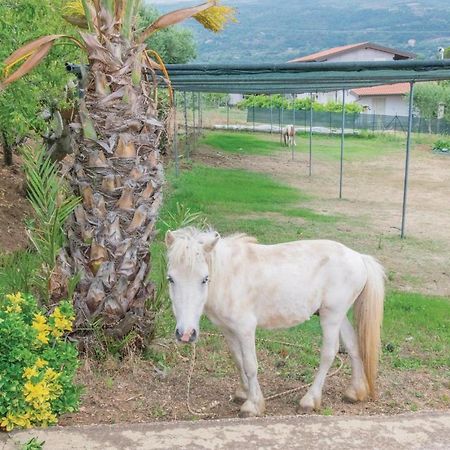 Appartamento Casa Rosa Ricadi Esterno foto