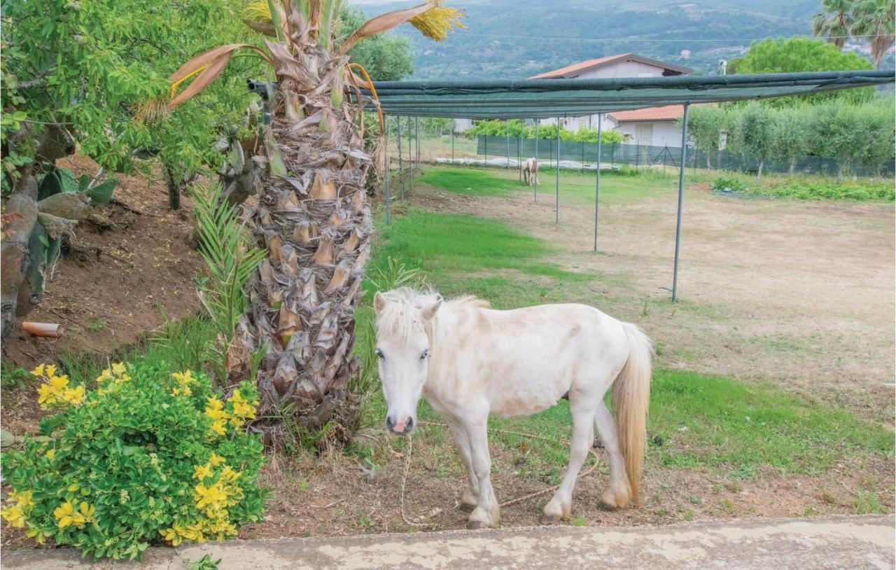 Appartamento Casa Rosa Ricadi Esterno foto